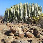 아파트 Los Balandros