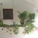 C101 Balandros بالم مار